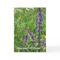 Apricot Tree in Spring cards