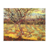 Apricot Trees in Blossom, Vincent van Gogh. Gallery Wrapped Canvas