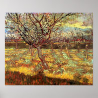 Apricot Trees in Blossom, Vincent van Gogh. Print
