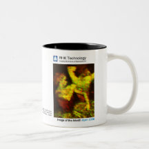 April 2006 - RHK Technology: Image of the Month Coffee Mug