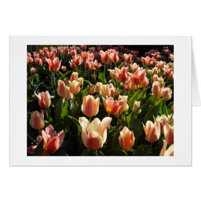 April 21, 2006 016 Card by ELF1020