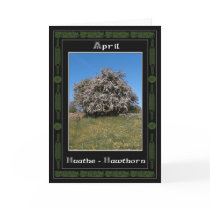 April Birthday Celtic Oracle Divination Cards