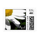 April Birthday - Daisy Postage