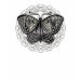 Ladies Baby Doll (Fitted)