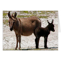 April & Bobo cards