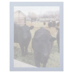 April Cattle Personalized Letterhead