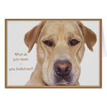 April fool's day cards