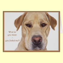 April fool's day cards
