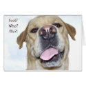 April fool's day cards