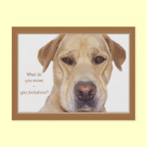 April fool's day funny Labrador postcards