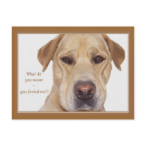 April fool's day funny Labrador postcards