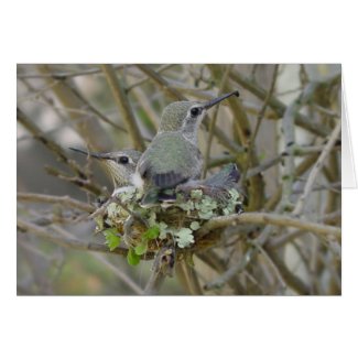 April Hummingbirds Card card