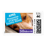 APRIL - Prevention of Animal Cruelty Month Stamps