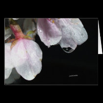 April Showers cards