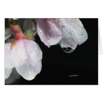 April Showers cards