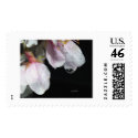 april showers postage by bhbphotos april showers postage