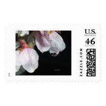 april showers postage