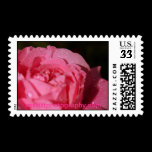 April Showers stamps