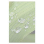 April Showers stationery