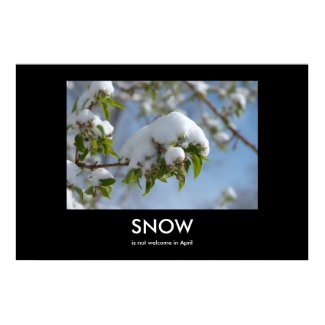April Snow Demotivational Poster print