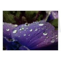 April spring showers on these flowers cards