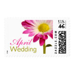April Wedding Invitation Stamps | Daisy Postage stamp