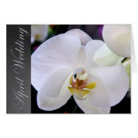April Wedding Orchid Cards