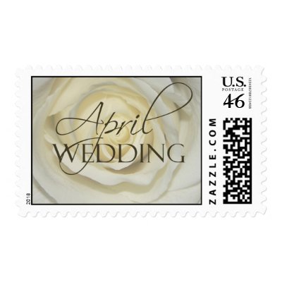 April Wedding postage cream rose