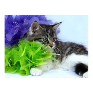 April Wild Kitten Prints print