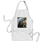apron
