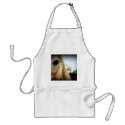 . aprons
