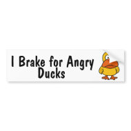 AQ- Angry Duck Bumper Sticker bumpersticker