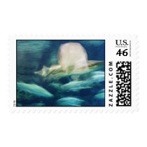 aqarium1 stamps