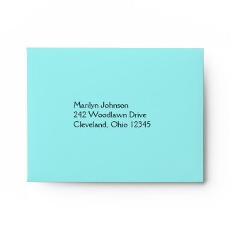 Aqua and Black Envelope for RSVP Card envelope