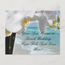 Aqua Beach Orchid Full Color Flyer