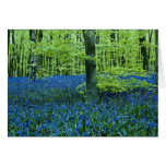 Aqua Bluebell Woods flowers Card