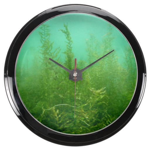 AQUA CLOCK