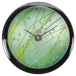 AQUA CLOCK