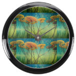 AQUA CLOCK