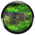 AQUA CLOCK