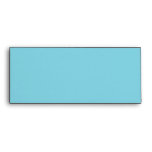 Aqua Envelope with Palm Trees