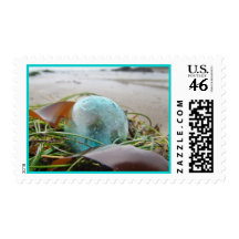 Aqua float on kelp stamp