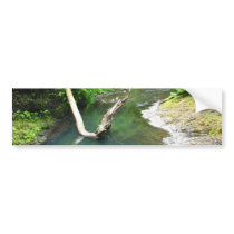 Aqua Marine Bumper Sticker