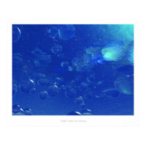 Aqua posters