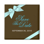 Aqua Ribbon Save The Date Wedding Announce