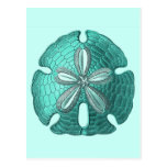 Aqua Sand Dollar Post Cards