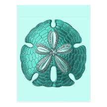 Aqua Sand Dollar Post Cards