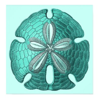 Aqua Sand Dollar Poster Print print