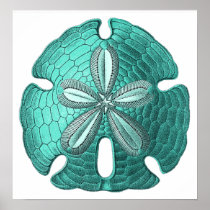 Aqua Sand Dollar Poster Print
