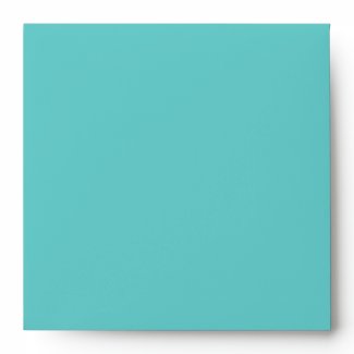 Aqua Square